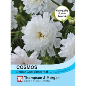 Thompson & Morgan Cosmos bipinnatus 'Double Click Snow Puff'