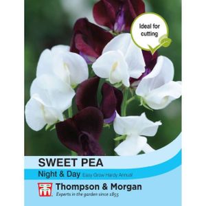 Thompson & Morgan Sweet Pea Night & Day