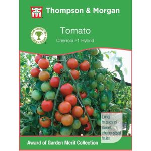 Thompson & Morgan Tomato Cherrola F1