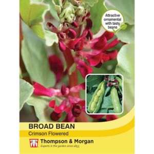 Thompson & Morgan Veg Broad Bean Crimson Flowered