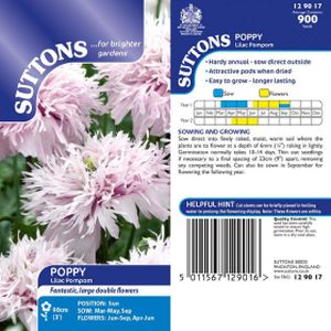 Suttons Poppy Lilac Pompom