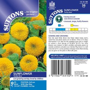 Suttons Sunflower* Teddy Bear