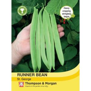 Thompson & Morgan Veg Bean Runner St. George