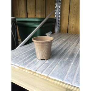 Coolings Nursery Pot 9cm Taupe