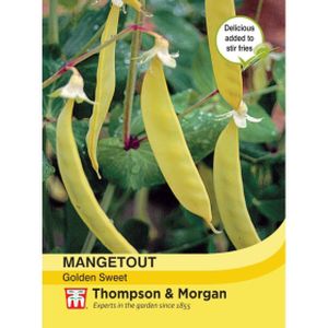 Thompson & Morgan Veg Mangetout Golden Sweet