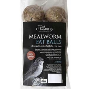 Tom Chambers Fat Balls - 6 Pack Mealworm