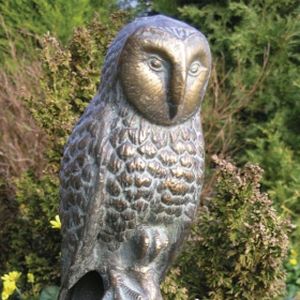 Home & Garden & Garden - Barn Owl