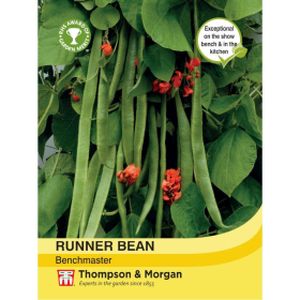 Thompson & Morgan Runner Bean Benchmaster