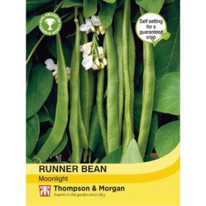 Thompson & Morgan Runner Bean Moonlight