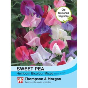 Thompson & Morgan Sweet Pea Heirloom Bicolour Mixed