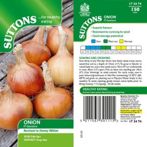 Suttons Onion Santero