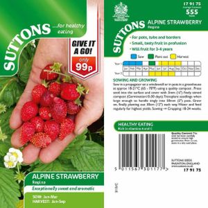Suttons Strawberry Regina