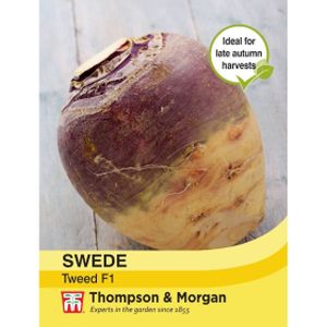 Thompson & Morgan Swede Tweed