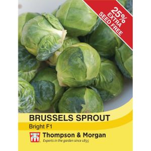 Thompson & Morgan Brussels Sprout Bright F1