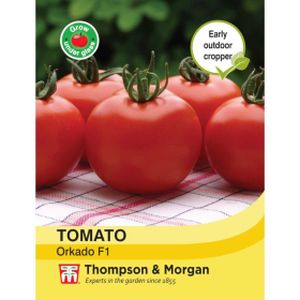 Thompson & Morgan Tomato Orkado