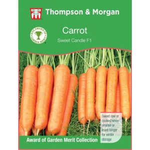 Thompson & Morgan Carrot Sweet Candle F1