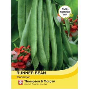 Thompson & Morgan Runner Bean Tenderstar