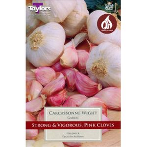 Taylors Uk Garlic Carcassonne Wight