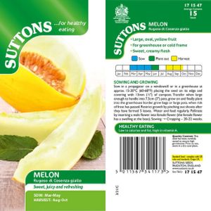 Suttons Melon Melon Rugoso Di Cosenza Giallo