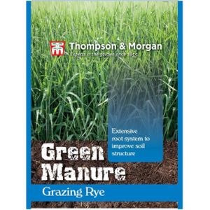 Thompson & Morgan Green Manure Grazing Rye