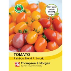 Thompson & Morgan Tomato Rainbow Mixed F1 Hybrid