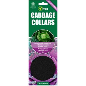 Vitax Cabbage Collars (30)