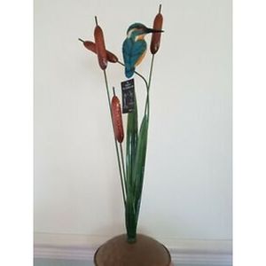 Vivid Kingfisher / Bulrushes D