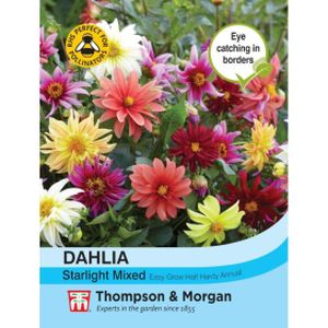 Thompson & Morgan Dahlia Starlight Mixed