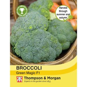 Thompson & Morgan Broccoli Green Magic F1