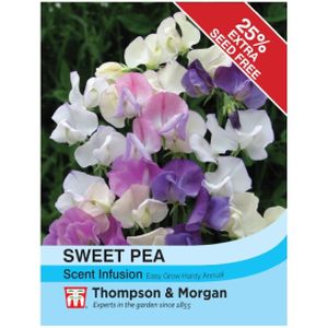 Thompson & Morgan Sweet Pea Scent Infusion Seeds