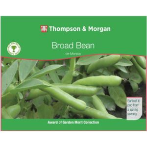 Thompson & Morgan Broad Bean De Monica