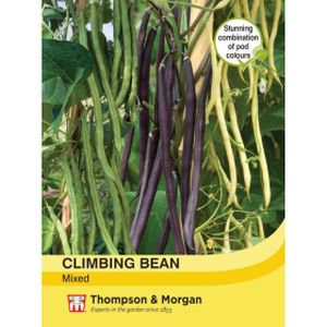 Thompson & Morgan Climbing Bean Mixed Of 3 Colours