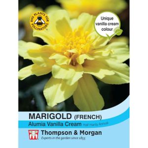 Thompson & Morgan French Marigold Alumia Vanilla Cream