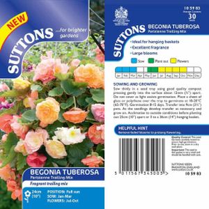 Suttons Begonia Parisienne Trailing Mixed