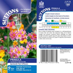 Suttons Primula Candelabra Hybrids