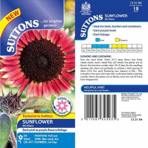 Suttons Sunflower Ms Mars