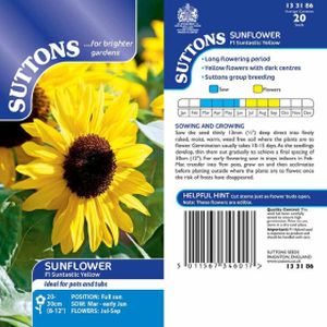 Suttons Sunflower Suntastic Yellow
