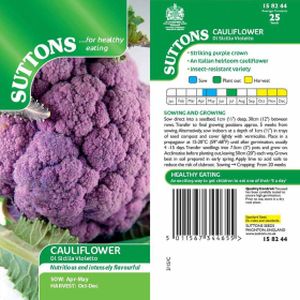 Suttons Cauliflower Seeds - Di Sicilia Violetta