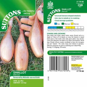 Suttons Shallot Banana Seeds - Zebrune