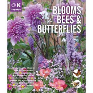 Kapiteyn Blooms Bees Butterflies Garden Violet-Pink