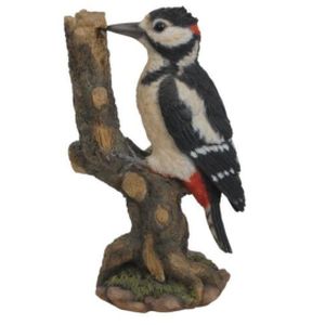 Vivid WBC Spotted Woodpecker F