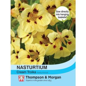 Thompson & Morgan Nasturtium Cream Troika