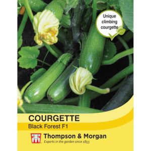 Thompson & Morgan Courgette Black Forest F1 Hybrid
