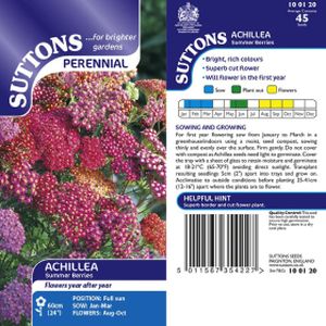 Suttons Achillea Seeds - Summer Berries
