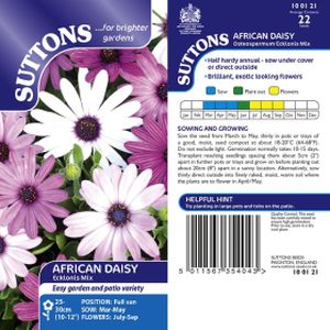 Suttons African Daisy Seeds - Ecklonis Mix