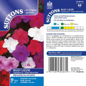 Suttons Busy Lizzie Value Hybrids - Impatiens