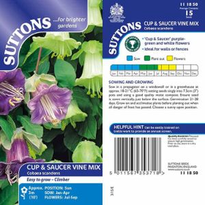 Suttons Cup & Saucer Seeds (Cathedral Bells)