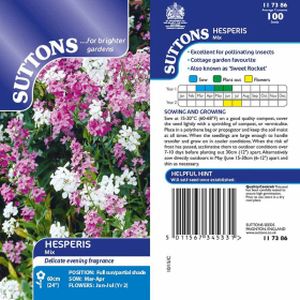 Suttons Seeds - Hesperis Mix