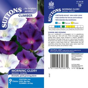 Suttons Morning Glory Seeds - Inkspots