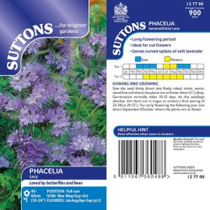 Suttons Phacelia Seeds - Lacy